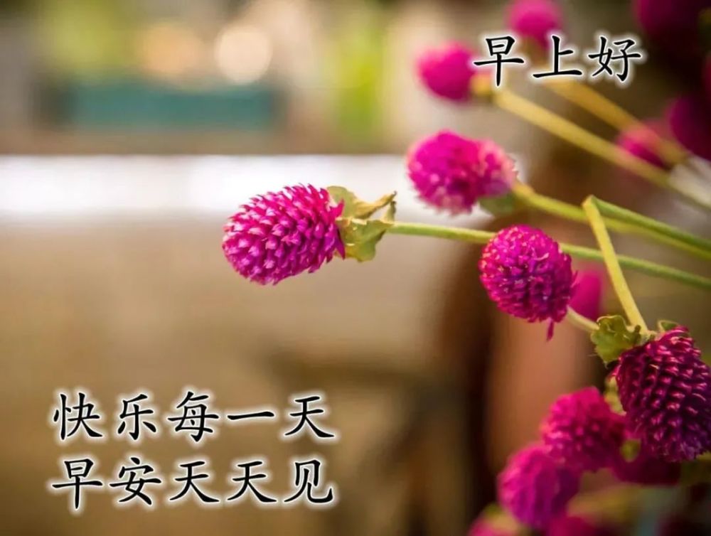 5月早晨好问候祝福图片早上好开心问候图片大全