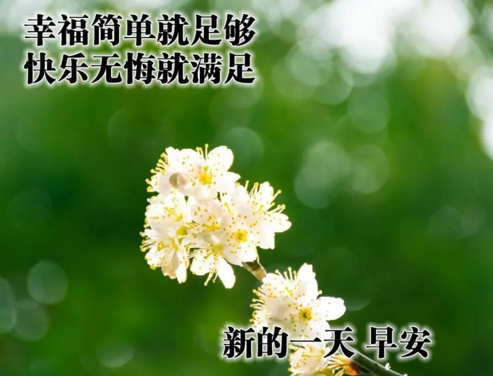 5月早晨好问候祝福图片 早上好开心问候图片大全_腾讯新闻