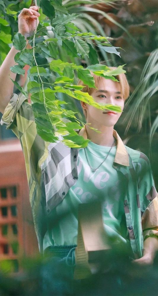 明星图库santa宇野赞多壁纸写真集