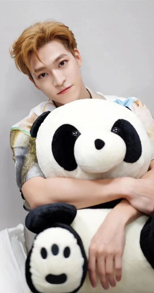 明星图库santa宇野赞多壁纸写真集