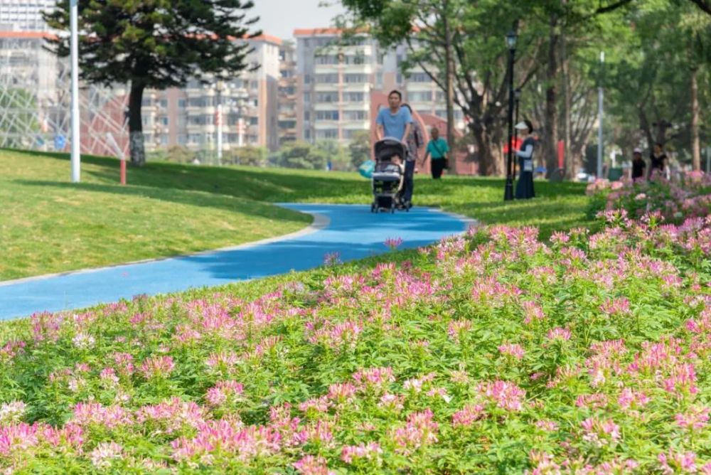 黃埔公園加大綠色共享