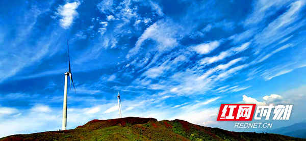 五月的汝城东岗岭杜鹃花开层林尽染