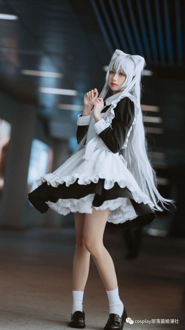 cos:漫展返图白毛猫猫女仆cos正片@猫幽怨|cosplay|女仆