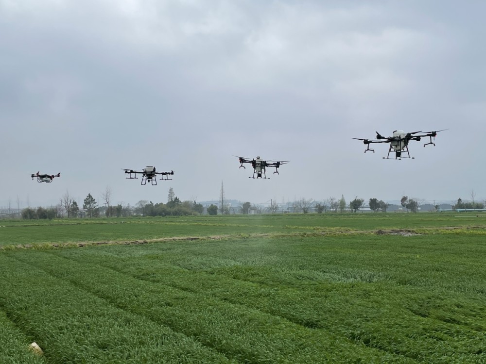 古林创建国家农业产业强镇 为宁波第4个 腾讯新闻