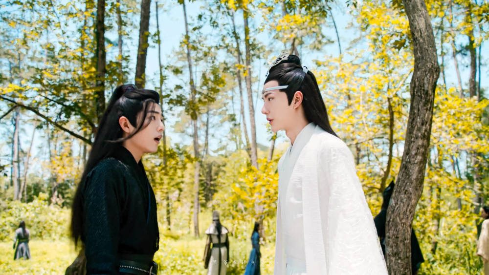 陈情共忘机42含光君语出惊人吓到了江澄魏婴少见多怪