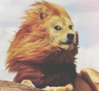 狂风暴雨带闪电!昨夜你有被吓到吗?接下来还有……_腾讯新闻