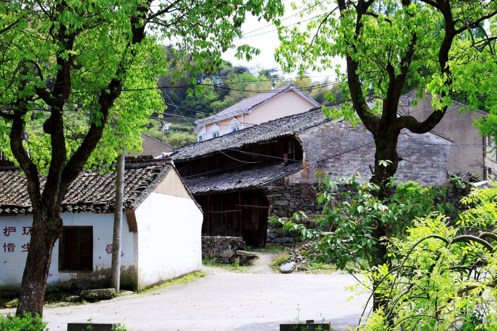 横溪有一个古村,因白岩山最美风车公路走红,景美境幽,适合露营