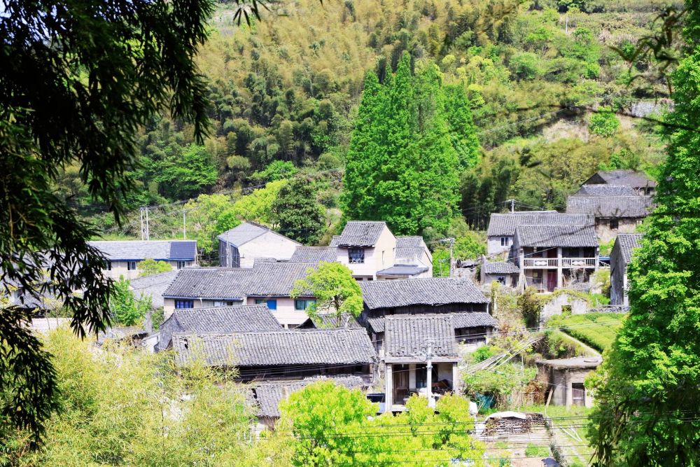 横溪有一个古村,因白岩山最美风车公路走红,景美境幽,适合露营