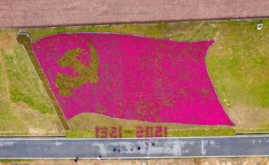 武汉:最美乡村现巨幅鲜花党旗,成五一旅游热门打卡地_腾讯新闻