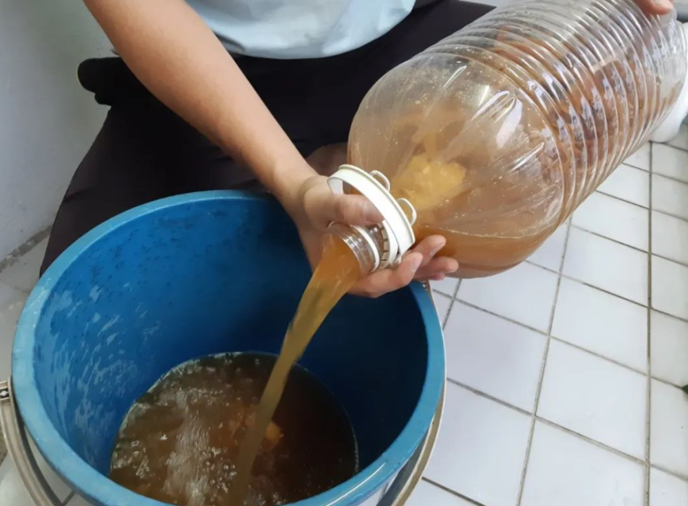 淘米洗菜水,全不如这种"水",养花浇啥旺啥,还不用费钱