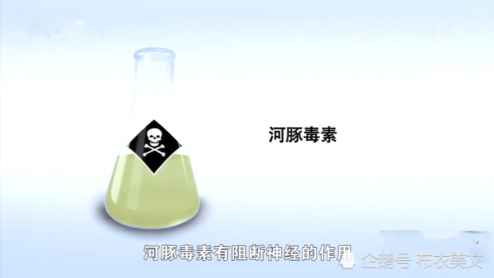 当年那个背着蟾蜍带着人体残骸的科学家是如何过安检的,看完佩服