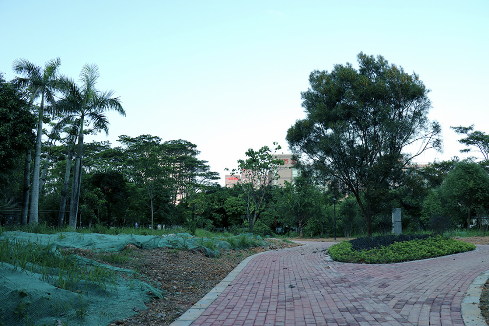 目前,心圩江公园正在重建建设,重塑生态公园,截至到2021年5月4日,有