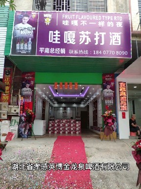 百威英博控股金龙泉啤酒湖北有限公司