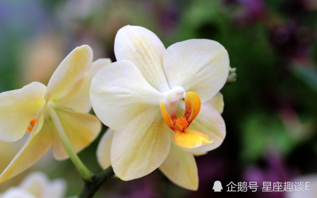 5月4日爱情运势 金牛居安思危 天蝎按部就班 射手贵人相助 腾讯新闻