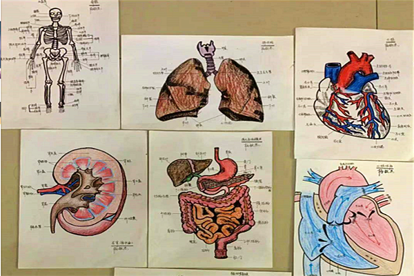 学霸医学生的 课堂笔记 有多厉害 手绘如打印 堪称教科书级别 腾讯新闻