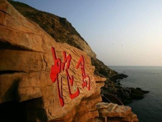 大连蛇岛上有约20000条毒蛇,它们靠吃什么生存?