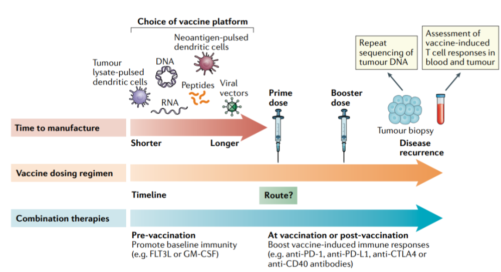个性化新抗原肿瘤疫苗的研究进展和挑战