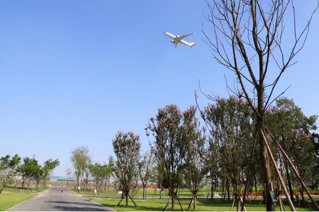 双流航空港公园图片