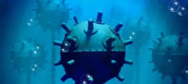 美军训练"海洋动物特工",能侦察水雷潜艇,能否改变未来战争?