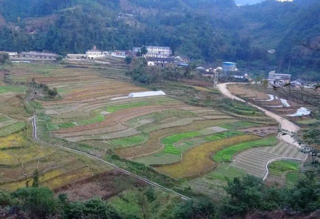 这个地方特种兵都不敢进去八里河村是云南的一个边境村落地雷村01堪称