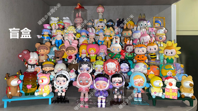 一只宠物仅需99成都宠物盲盒遭大量遗弃有的盲盒已发臭