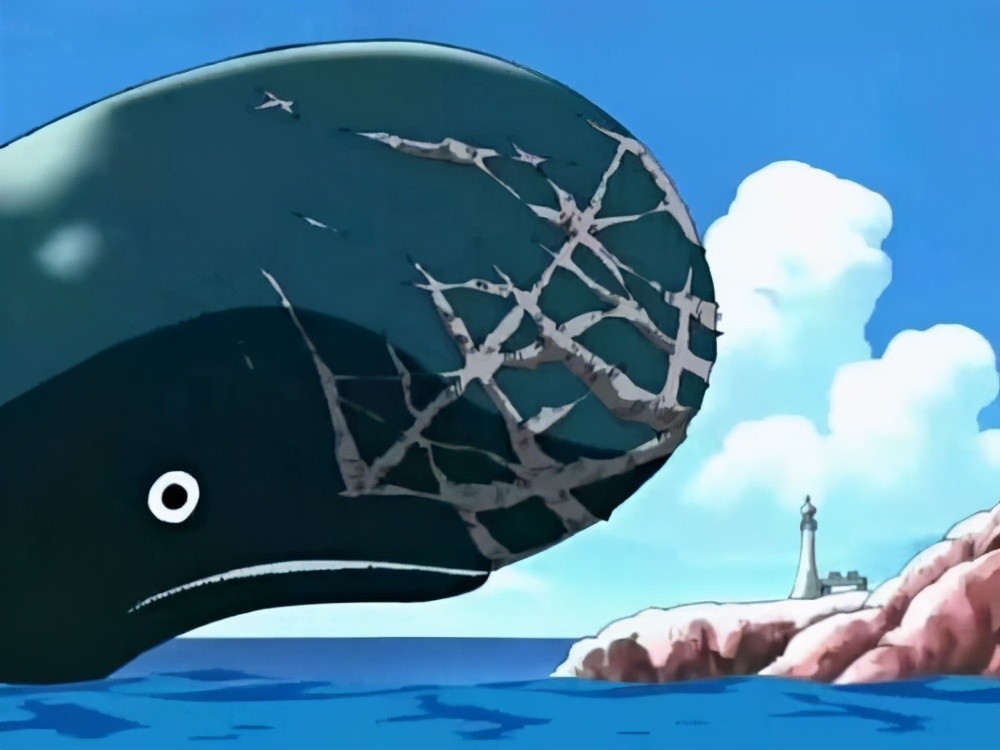 海贼王草帽团成员最在意的人有7位已经不在人世