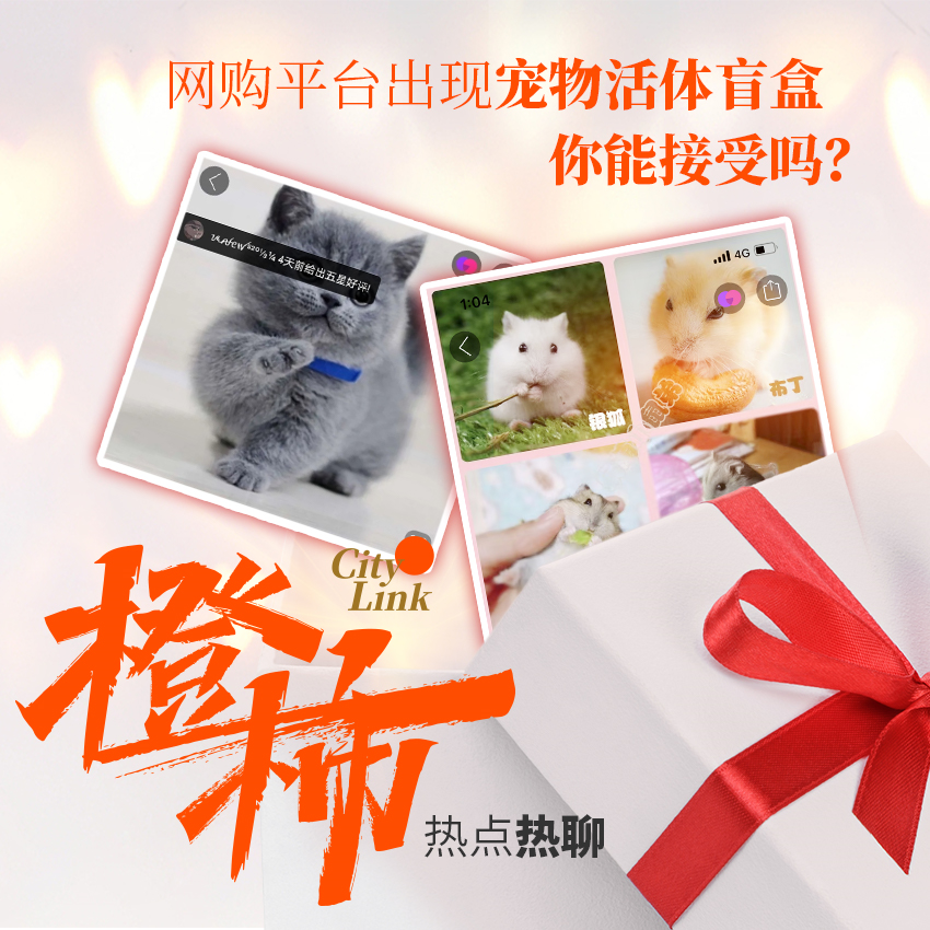 网购平台惊现宠物活体盲盒运输过程死亡率非常高或涉嫌多项违法