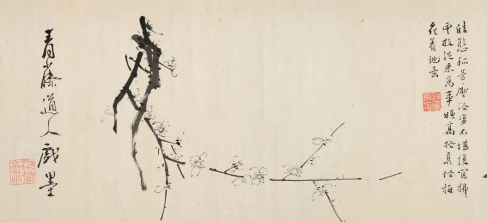 徐渭墨花图卷