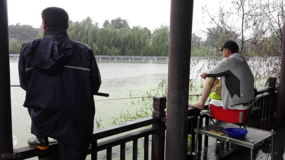 为什么暴雨后都伴随着狂口 因为是这些因素打开鱼口 腾讯新闻