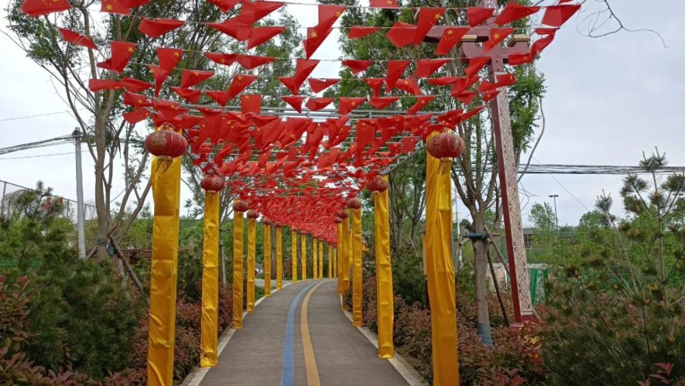 快来打卡鹤壁龙岗人文小镇百亩花田约起来