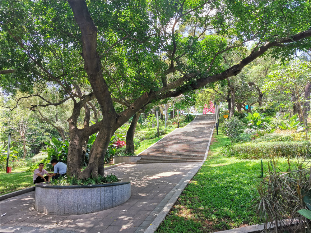 時隔八年再次邂逅龍華的三聯公園一切還是記憶中的樣子