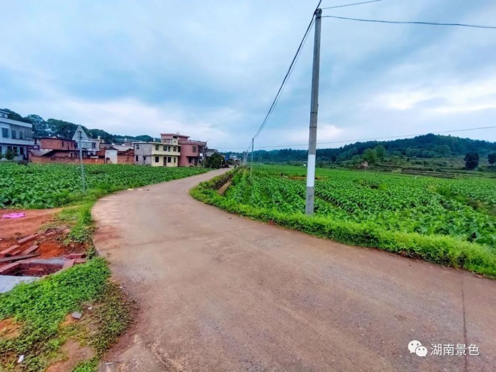 走在蓬塘的小路上留住一份美好的回忆