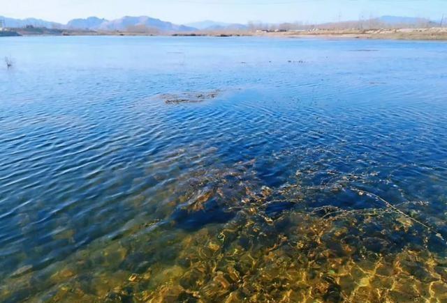 怀念的小河河水清澈见底一片绿意中透露着些许诗意的花朵