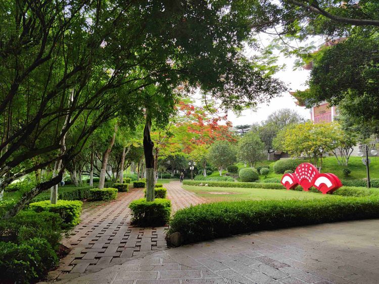 五月鳳凰花開季走在雲南開遠瀘江公園裡是清涼閒適的體驗