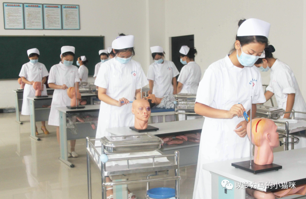 全国专业排行_211大学排行榜:考上就是赚到,王牌专业堪比985!(2)