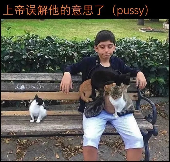 梗图合集猜猜看我这么多硬盘里的都是什么