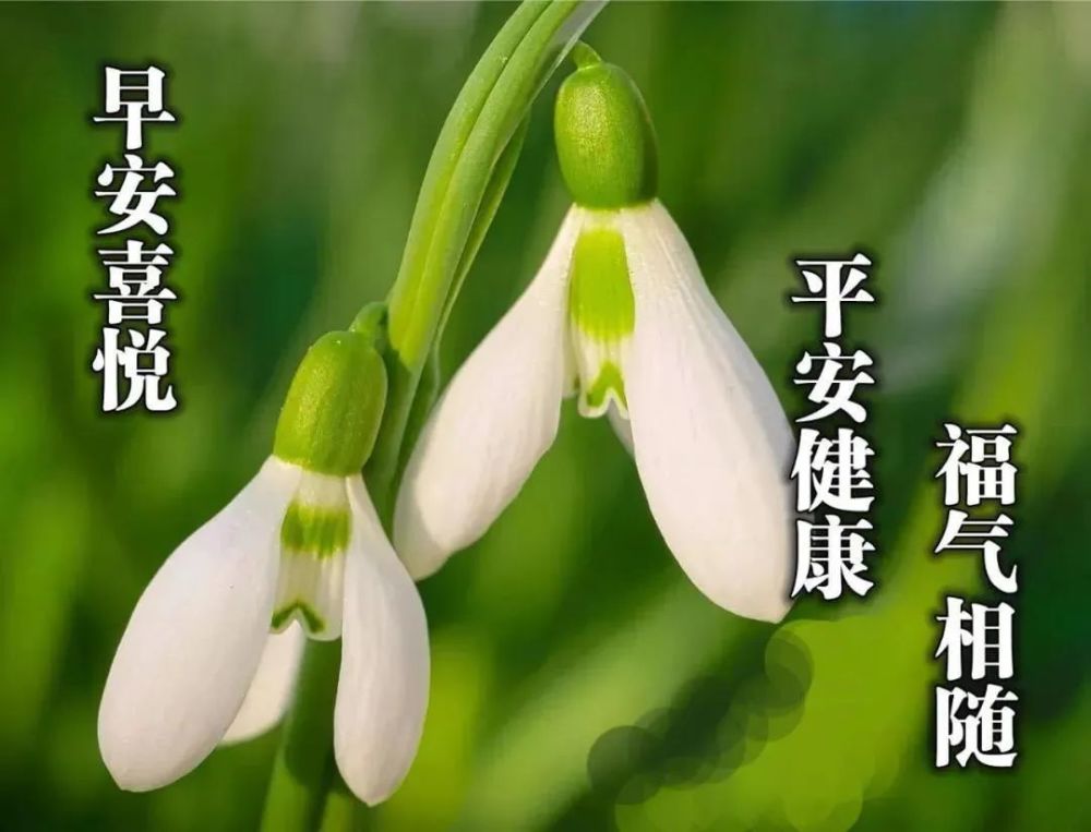 2021立夏祝福语录问候语录朋友圈最美立夏祝福语