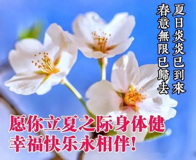 立夏快乐立夏节气祝福图片带字立夏图片带问候语精选