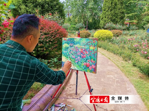 宝鸡植物园近300个品种 约3 5万株的月季绽放 腾讯新闻