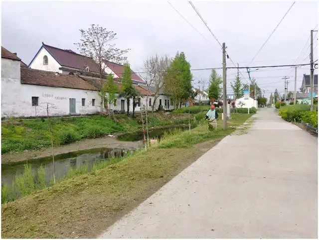 江苏海安施秦村:加强河道治理 助推乡村振兴