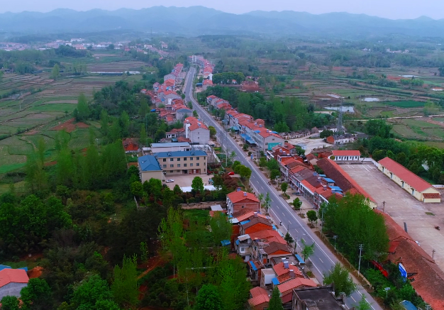 安陆市王义贞镇组织群众推进以"五清一改"为重点的村庄清洁行动安 