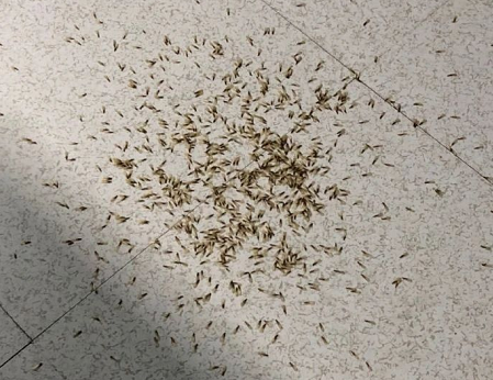 可怕头皮发麻不敢开灯漳州人请注意