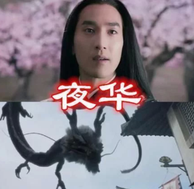 夜华的真身白浅的真身折颜的真身看到凤九对不起打扰了