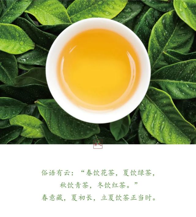 立夏饮茶好时节