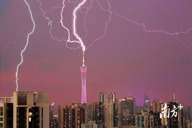 春播夏长,万物并秀,在这热情初夏,奋斗不息,热情不止.今日立夏.