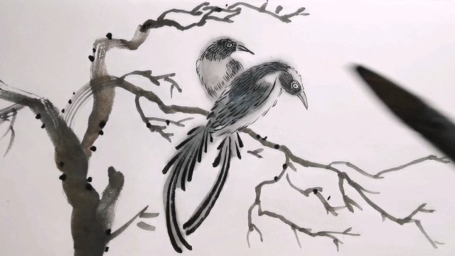 国画水墨画画两只漂亮羽毛的鸟站在树枝上