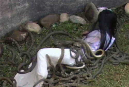 酷刑始终都是存在,而商朝存在过的酷刑有金瓜击顶,劓殄,炮烙,醢刑