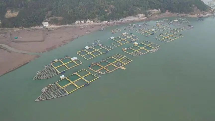 节目预告今晚7点央视生财有道聚焦福鼎海产经济