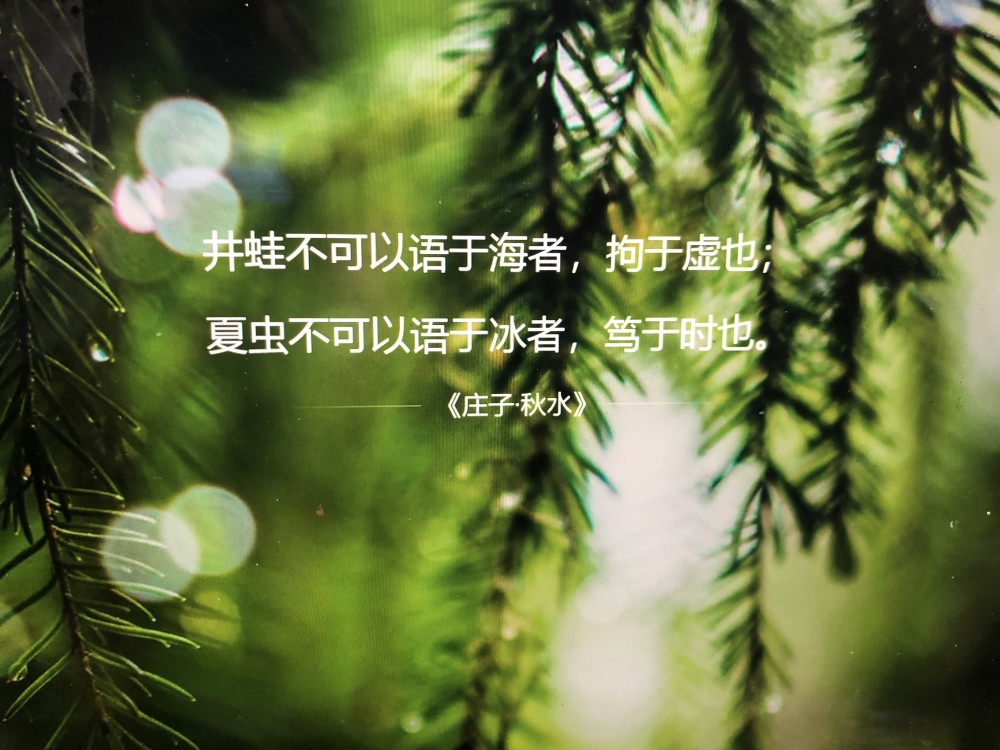 比尔盖茨离婚的结局早就注定了