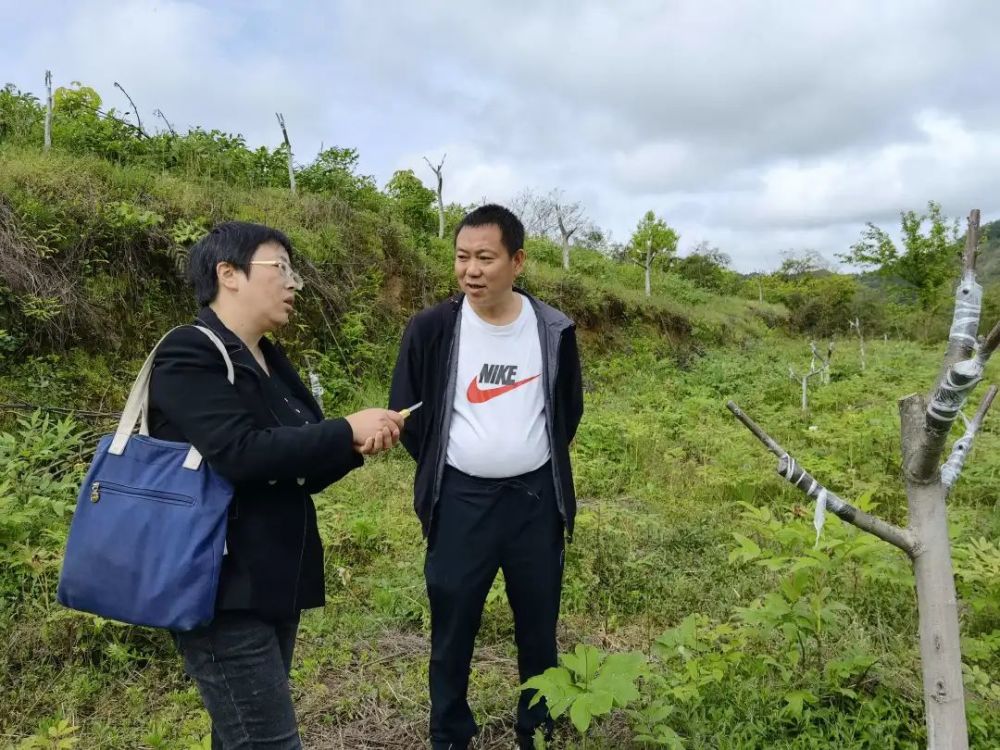 她是秦巴山地的女儿